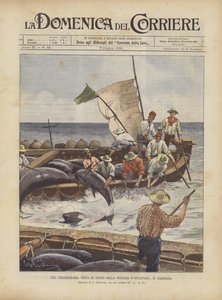 Una pesca extraordinaria de atún en la almadraba de Isolapiana, en Cerdeña