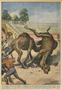 Una compañía americana está organizando en Constantinopla una serie de espectáculos característicos e incruentos de Achille Beltrame