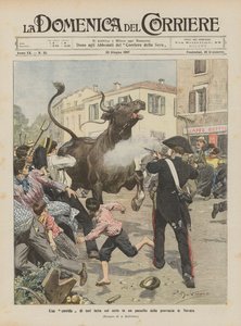 Una corrida de toros hecha en serio en un pueblecito de la provincia de Novara