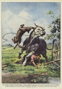 Un tirón de orejas providencial de Achille Beltrame