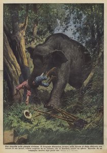 Una tragedia en la jungla africana