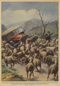 Una matanza de ovejas ocurrió en la carretera que une Bra con Alba, en la provincia de Cuneo de Achille Beltrame