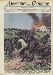 Una invasión de toros