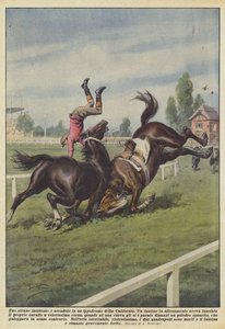 Un extraño accidente ha ocurrido en un hipódromo de California