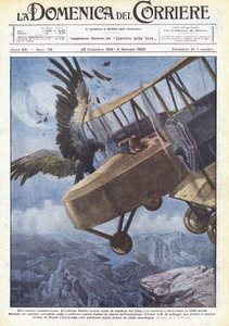 Un extraño choque aéreo