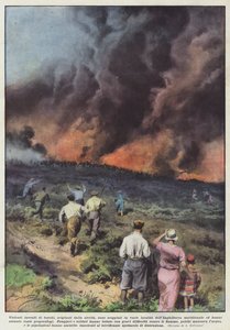 Violentos incendios forestales, originados por la sequía, han estallado en varias localidades