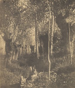 [Paisaje, Arras], 1852 de Adalbert Cuvelier