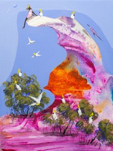 Un colorido dormidero de cacatúas