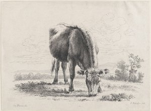 Vaca pastando de Adam von Bartsch