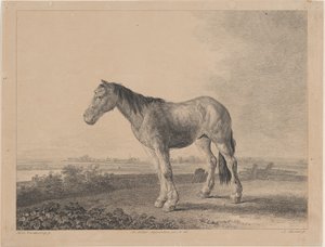 Caballo de pie en un campo de perfil a la izquierda, 1809 de Adam von Bartsch