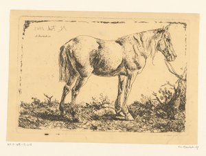 Caballo en un árbol