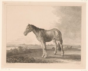 Caballo de pie en un paisaje de río Animales según pinturas de maestros holandeses (título de la serie) Différens animaux graves d