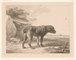 Perro de pie en un paisaje Animales según pinturas de maestros holandeses (título de la serie) Différens animaux graves d