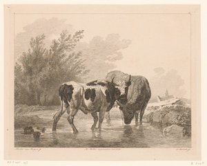 Dos vacas en un arroyo Animales según pinturas de maestros holandeses (título de la serie) Différens animaux graves d