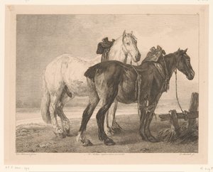Dos caballos en un paisaje de río. Animales según pinturas de maestros holandeses (título de la serie) Différens animaux graves d