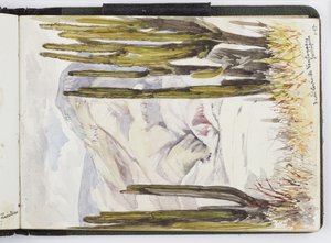 Cuaderno de bocetos de acuarelas, dibujos y notas, México, 1896-1898 de Adela Breton