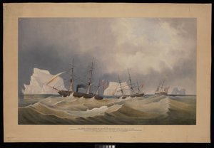 H.M.S. Phoenix con sus consortes, The Diligence y Breadalbane, entre los icebergs