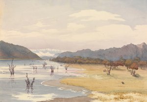Lago de Acoleo [Aculeo], Chile, 11 de enero de 1851.