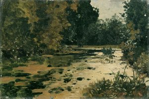Waldtümpel de Adolf Gustav Ditscheiner