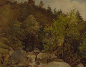 Cascada cerca de Ohlstadt de Adolf Heinrich Lier