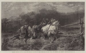 Caballos escapando de un incendio