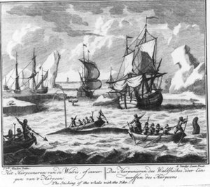  de Adolf van der Laan