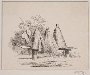 Abeja de Johan Adolph Kittendorff