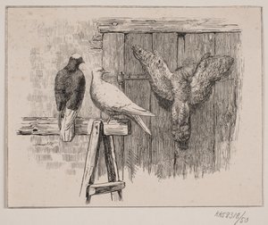 Las palomas de Johan Adolph Kittendorff