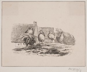 Gallo de Johan Adolph Kittendorff