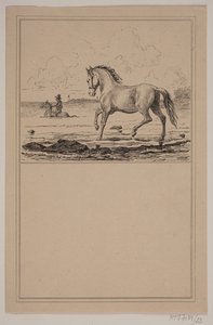 El caballo en el agua. N.º 22 en Chr. Winther y M. Rørbye, "25 Imágenes para niños pequeños" de Johan Adolph Kittendorff