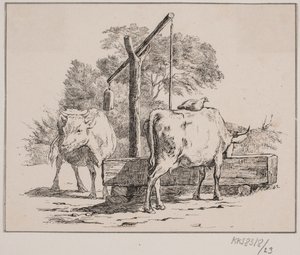 La gallina y la vaca