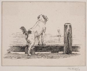 Perro en la playa de Johan Adolph Kittendorff