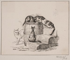 Los gatos de Johan Adolph Kittendorff