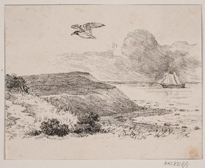 La gaviota