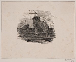 El caniche de Johan Adolph Kittendorff