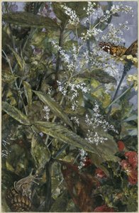  de Adolph Menzel