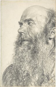 Cabeza de un hombre con barba de Adolph Menzel