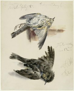  de Adolph Menzel