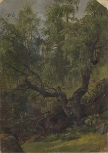  de Adolph Tidemand