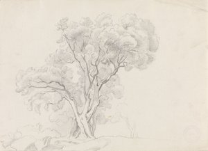  de Adolph Tidemand