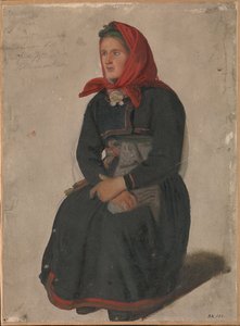Campesina de Telemark