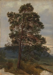  de Adolph Tidemand