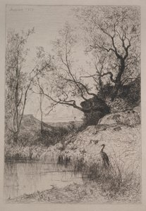 Un estanque, 1867