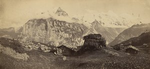 [Paisaje alpino]