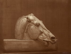 [Cabeza de caballo del frontón del Partenón, Museo Británico] de Adolphe Braun