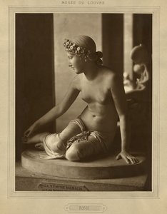 Museo del Louvre, Bosio de Adolphe Braun