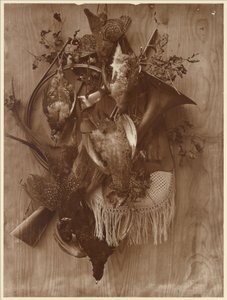 Faisán y urogallo de Adolphe Braun