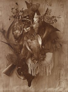 Faisán y urogallo, ca. 1865 de Adolphe Braun