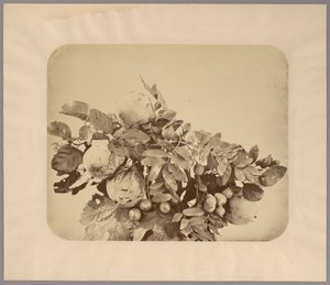 Naturaleza muerta con membrillos y bayas de Adolphe Braun