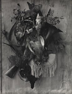 Trophy of the Hunt de Adolphe Braun